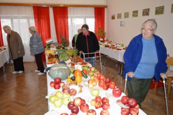 Výstava ovocia a zeleniny