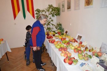 Výstava ovocia a zeleniny
