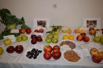 Výstava ovocia a zeleniny