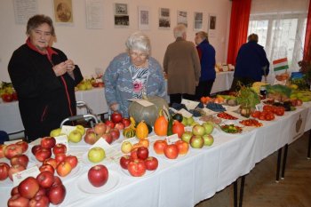 Výstava ovocia a zeleniny