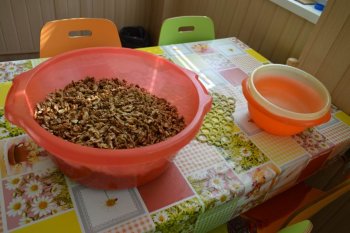 Najprv sme zbierali, potom čistili