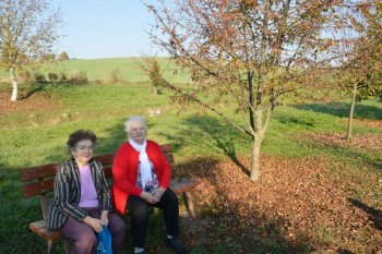 Prechádzka do lipovej aleje