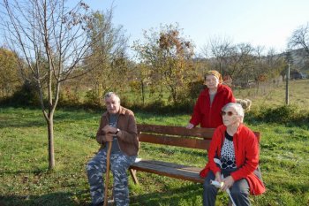 Prechádzka do lipovej aleje