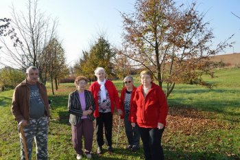 Prechádzka do lipovej aleje