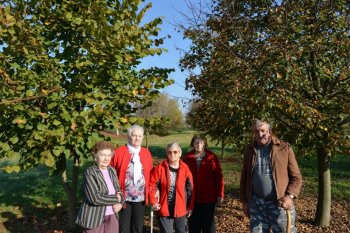 Prechádzka do lipovej aleje