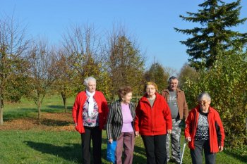 Prechádzka do lipovej aleje