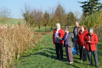 Prechádzka do lipovej aleje