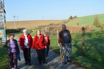 Prechádzka do lipovej aleje