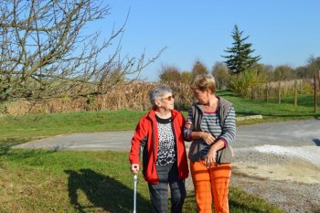 Prechádzka do lipovej aleje