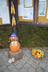 Prechádzka do lipovej aleje