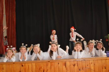 Posedenie pod jedličkou