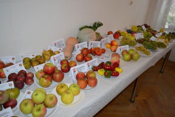 Výstava ovocia a zeleniny