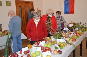 Výstava ovocia a zeleniny