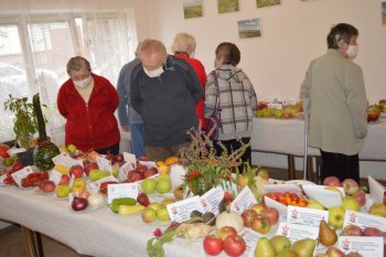 Výstava ovocia a zeleniny