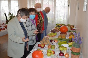 Výstava ovocia a zeleniny
