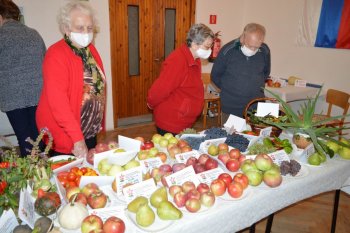Výstava ovocia a zeleniny