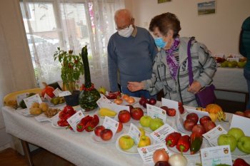 Výstava ovocia a zeleniny