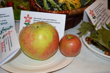 Výstava ovocia a zeleniny