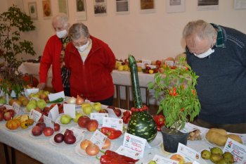Výstava ovocia a zeleniny
