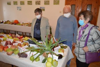 Výstava ovocia a zeleniny