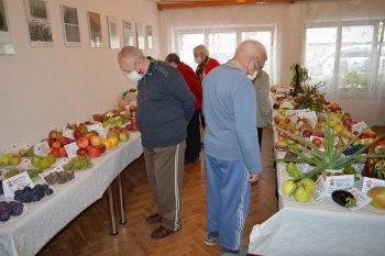 Výstava ovocia a zeleniny