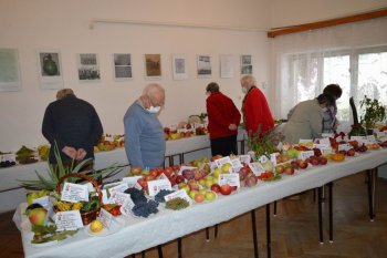 Výstava ovocia a zeleniny