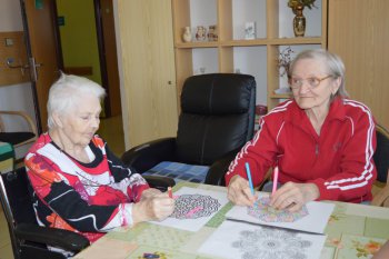 Aktivity v interiéri domova