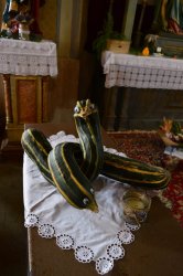 Jesenná výstava ovocia a zeleniny