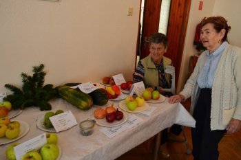 Jesenná výstava ovocia a zeleniny