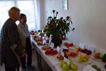 Jesenná výstava ovocia a zeleniny