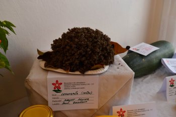 Jesenná výstava ovocia a zeleniny