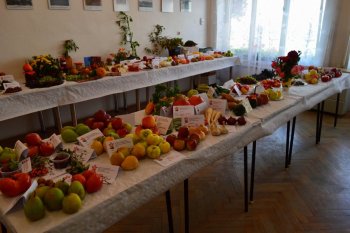 Jesenná výstava ovocia a zeleniny
