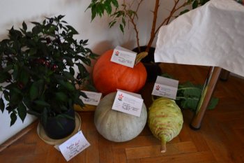 Jesenná výstava ovocia a zeleniny