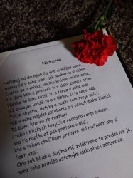 MDŽ v našom domove