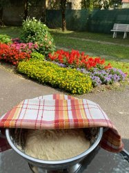 Sviatočný deň v domčeku