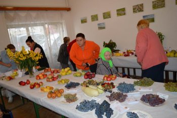 Poďakovanie za úrodu