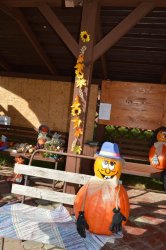 Privítali sme tekvicovú rodinku