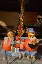 Privítali sme tekvicovú rodinku