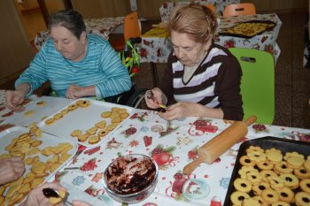 Predvianočné pečenie