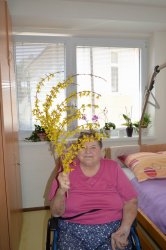 Červené nosy sú späť