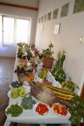 Poďakovanie za úrodu