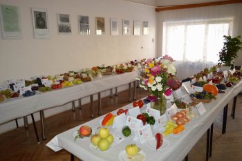 Poďakovanie za úrodu