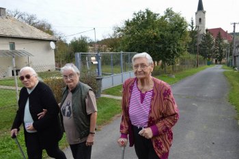 Prechádzka do lipovej aleje