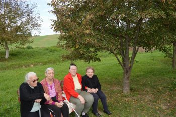 Prechádzka do lipovej aleje