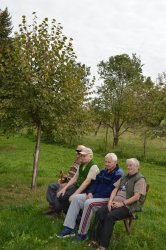 Prechádzka do lipovej aleje