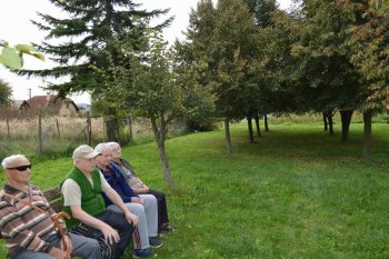 Prechádzka do lipovej aleje