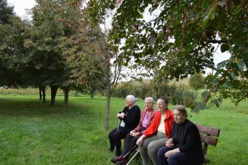Prechádzka do lipovej aleje