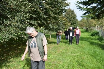 Prechádzka do lipovej aleje