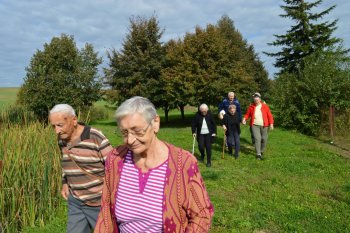 Prechádzka do lipovej aleje