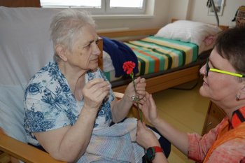 MDŽ v našom domove